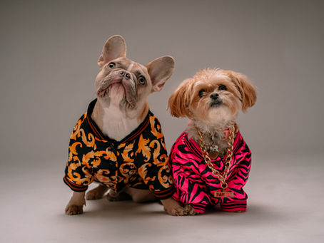 Luxury Dog Collars