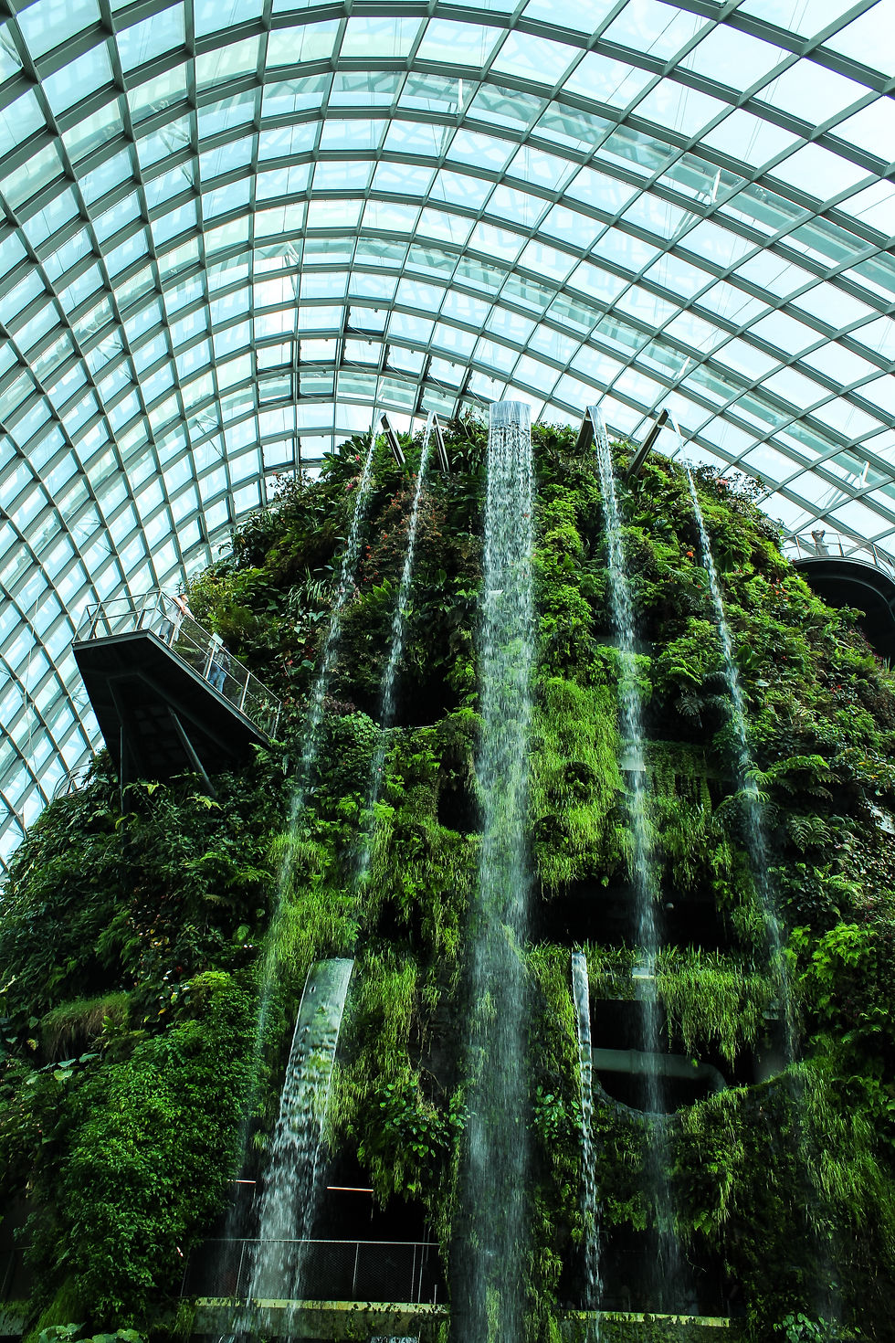 tall indoor waterfall covered in native plants