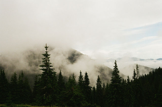 Image by Kseniia Rastvorova