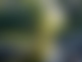 Book Publishers in Central Falls, Rhode Island