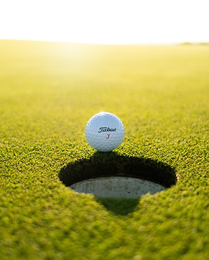 Image by Soheb Zaidi