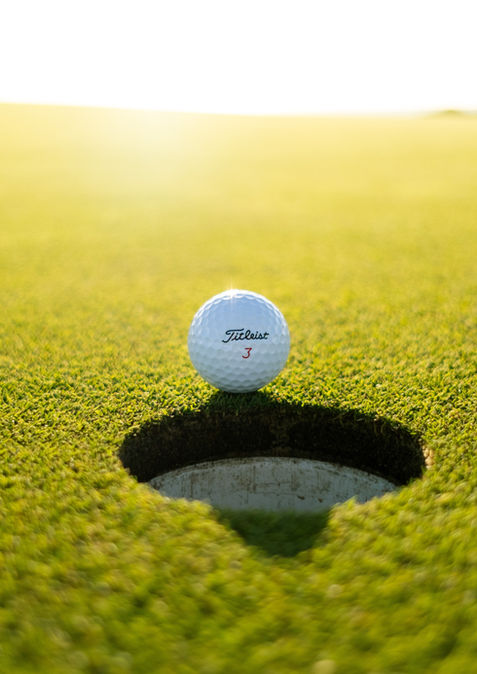 Image by Soheb Zaidi