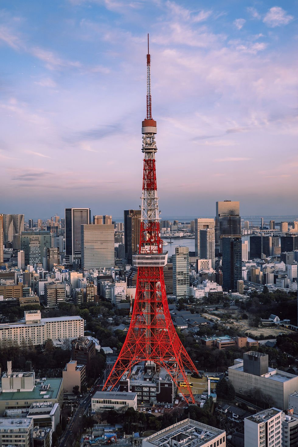 Winning Government Contracts in Japan: Compliance, Documentation and Evaluation Criteria