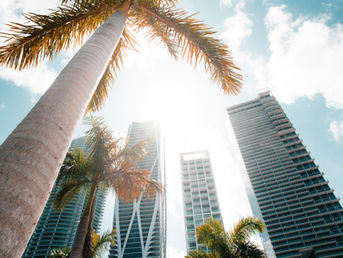 Transform Your Miami Business Into an Online Success