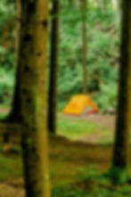 Image by Eugenia Pan'kiv