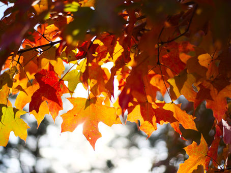 The Coming of September’s Cool