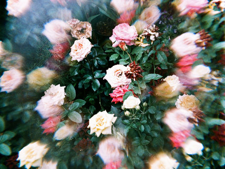 Psychedelics at End of Life