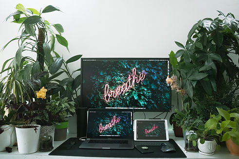 Image by Sanni Sahil