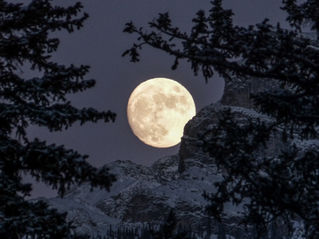 Illuminating Your Power: The Spiritual Meaning of the February 2025 Full Moon