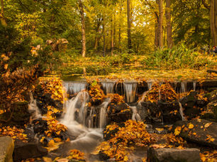 Embracing Change and Preparation: Nature's Wisdom in the Fall Season