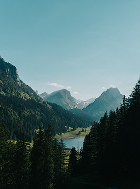 Image by Niklas Tidbury