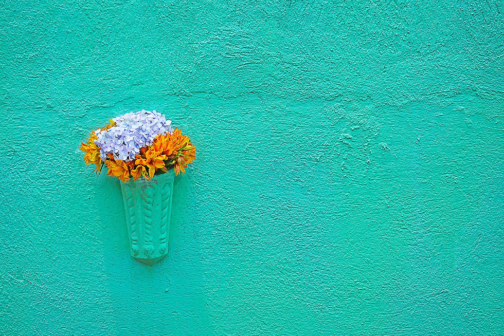 Typed in "wallflower", and this is the best I could find 😊