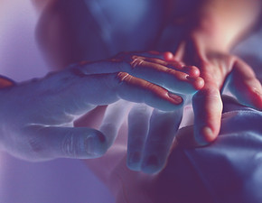 Image de Alexander Grey