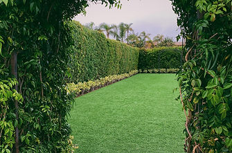 Service de entretien jardin