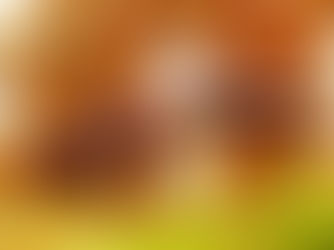 חזרה למייקרודוזינג של פסילוסיבין || חודש ראשון