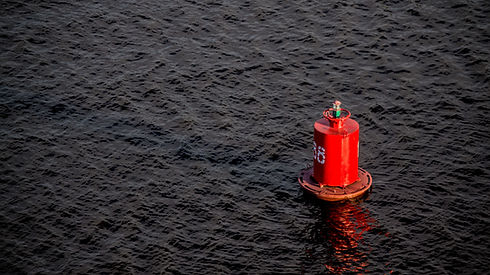 Image by Ant Rozetsky