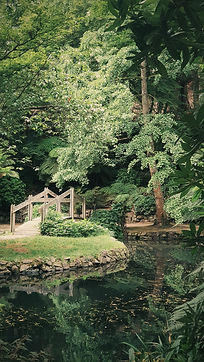 trädgård göteborg