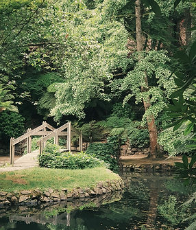 Garten Oase