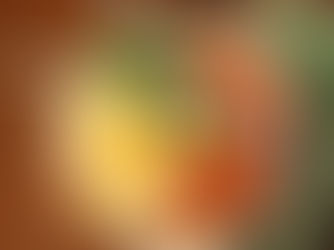 Scripture Reflection, February 15, 2026, Sixth Sunday in Ordinary Time