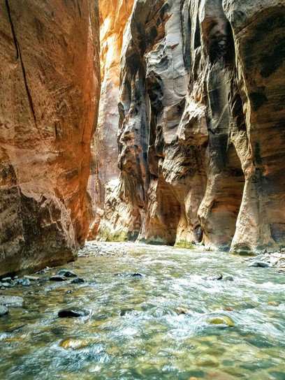 The Narrows is a unique hike that involves wading through the Virgin River in a narrow, deep canyon. The distance and difficulty of the hike depend on how far you choose to go, but it's an unforgettable experience.