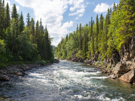 The Rivers of Babylon