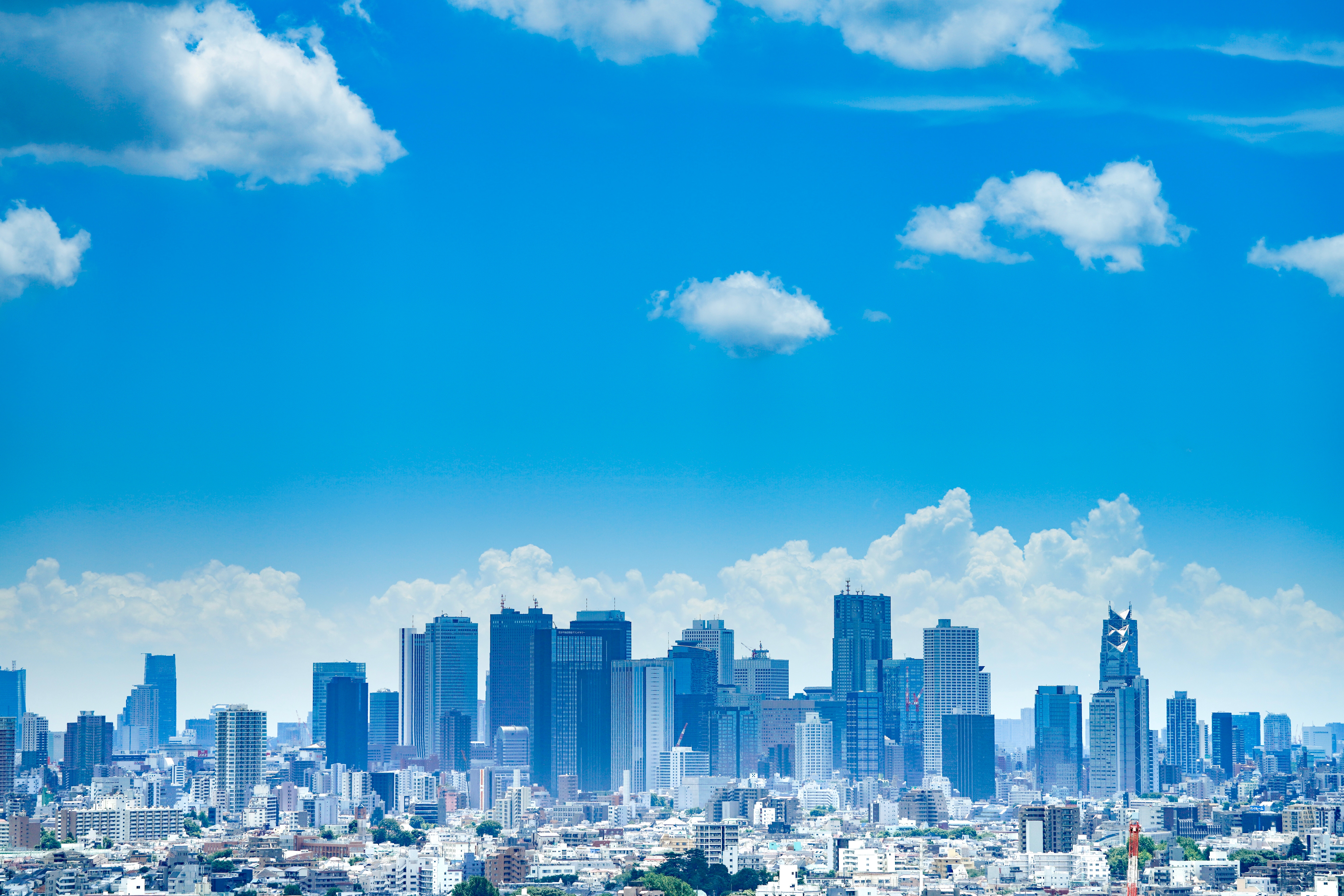 how much does a tour guide cost in japan