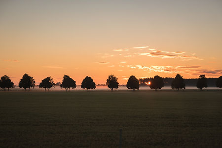 Image by Niels Weiss