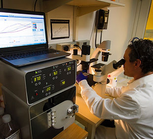 Image by National Cancer Institute