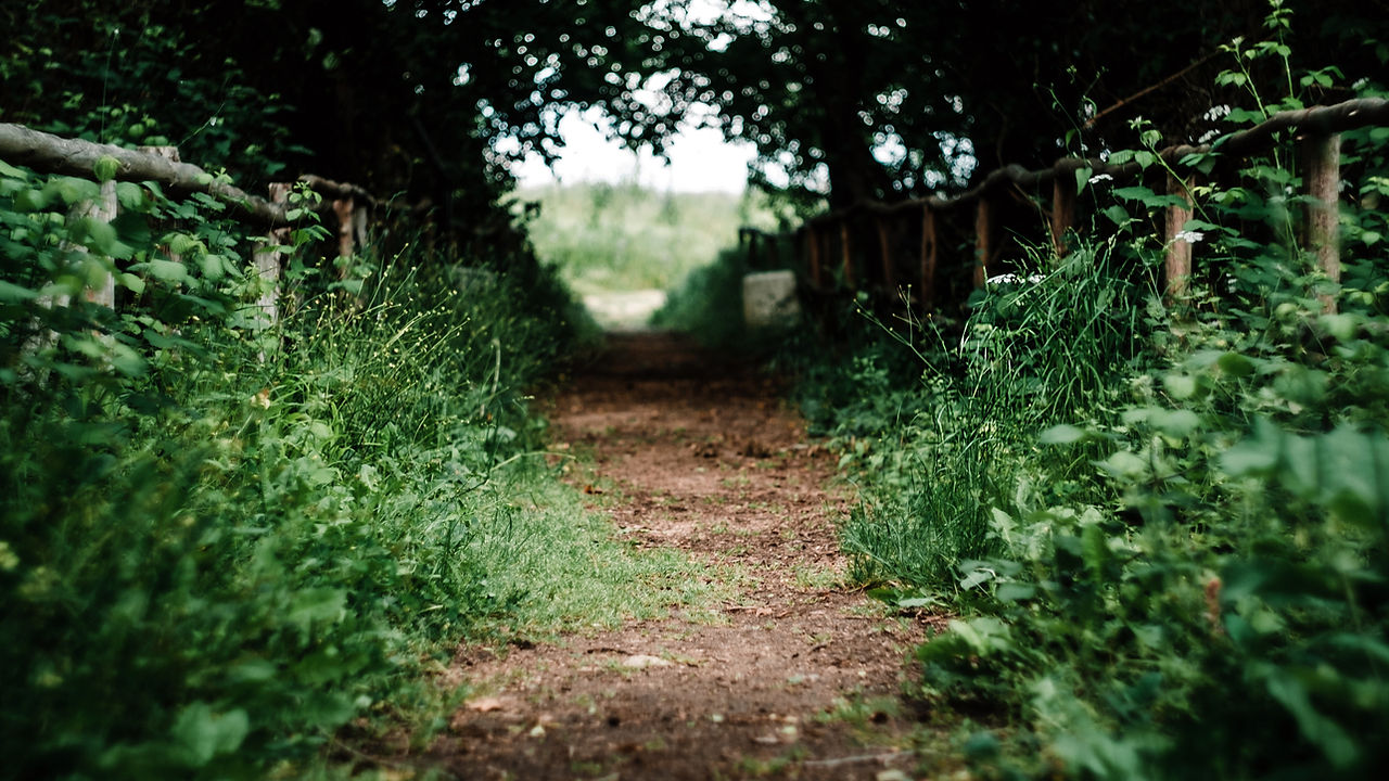 Image by Maria Teneva