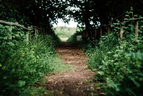 Image by Maria Teneva