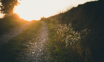 Image by Francesco Gallarotti