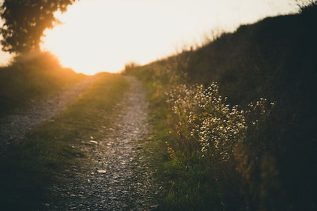 Image by Francesco Gallarotti