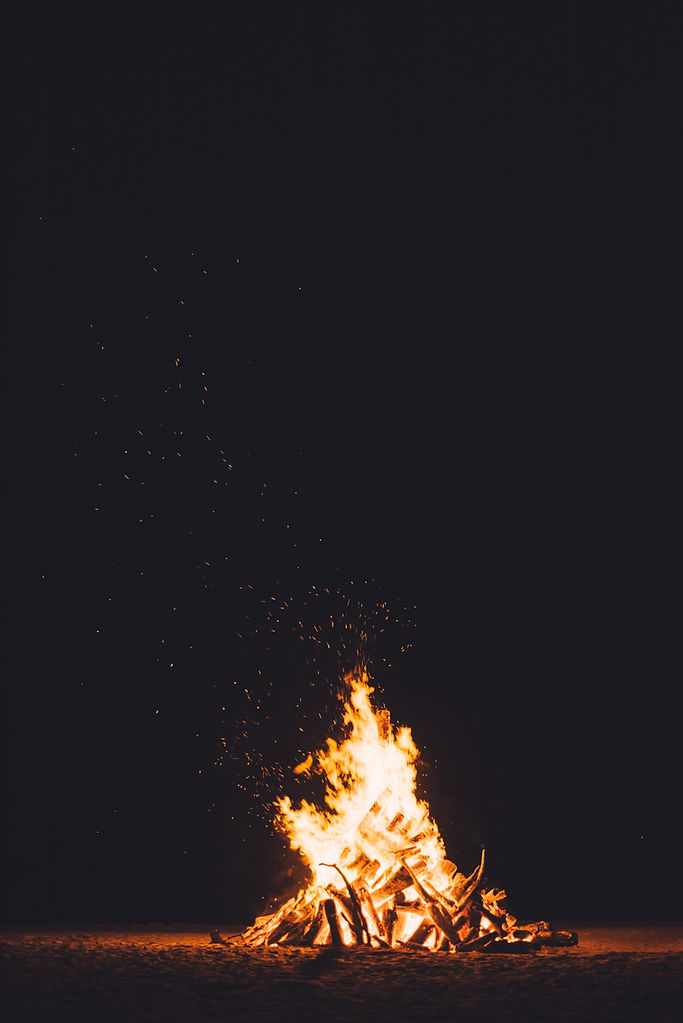 Image by CHUTTERSNAP
