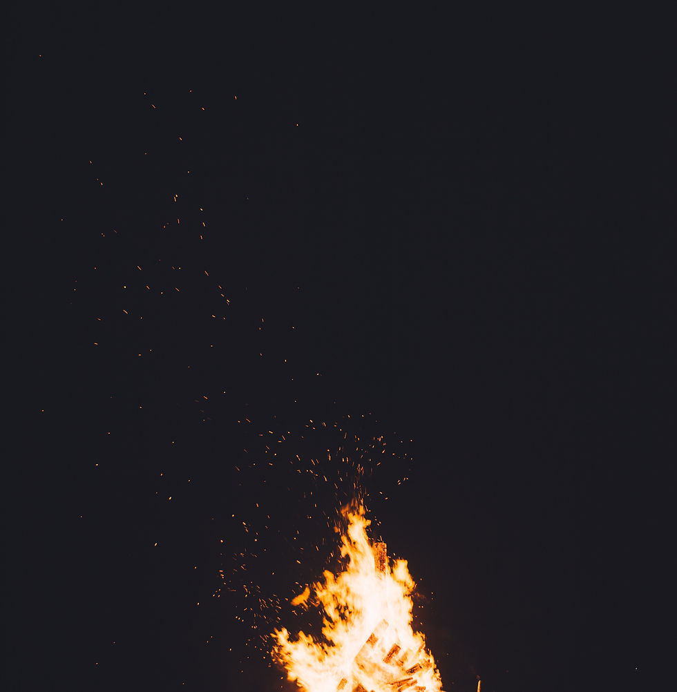 Image by CHUTTERSNAP