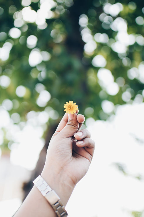Image by Anunay Mahajan