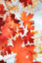 Autumn Reset Retreat