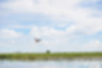 Chobe river Safari