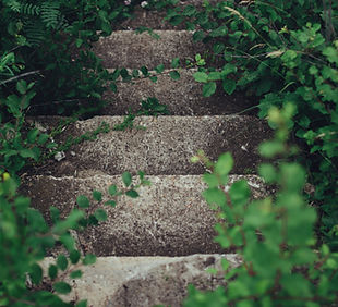 Image by Rodion Kutsaiev
