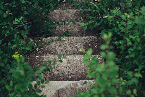 Image by Rodion Kutsaev