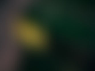 The Road to Restomod Success: How Knight Motorsports Can Help