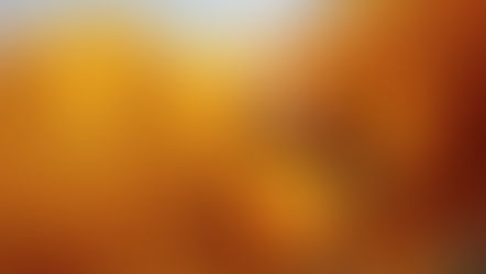 Global pollinator losses causing 500,000 early deaths a year 