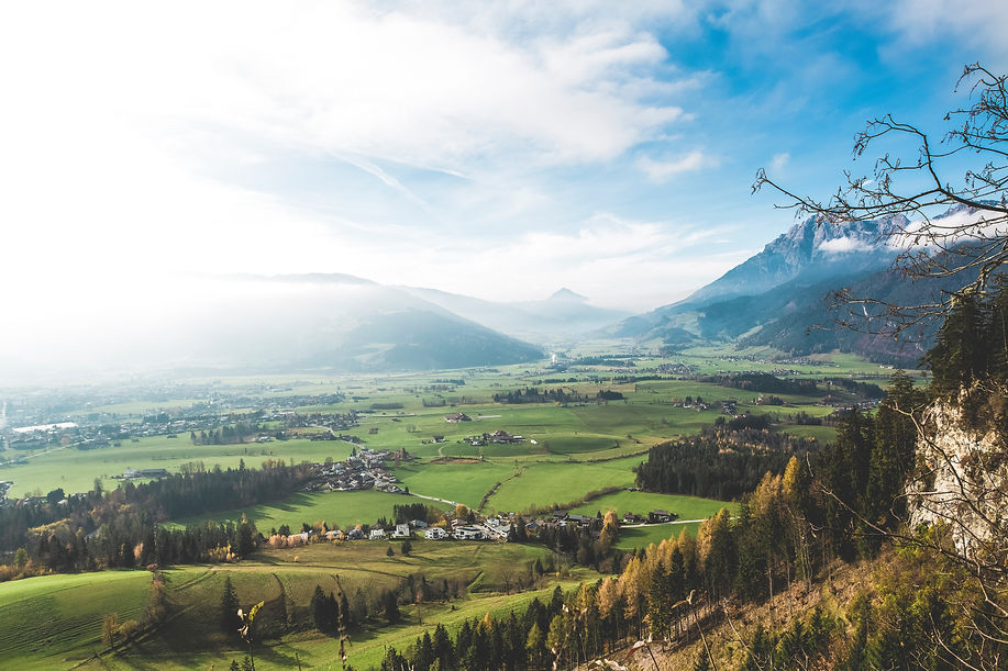 Image by Markus Spiske