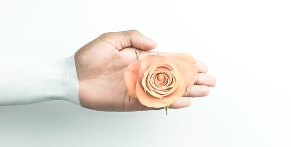 Image by Imani Clovis