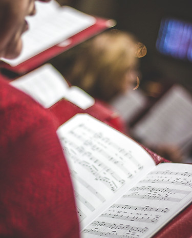 Image by David Beale