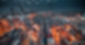 Image by Timelab Pro