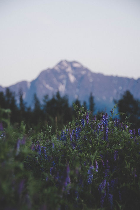 Image by everett mcintire