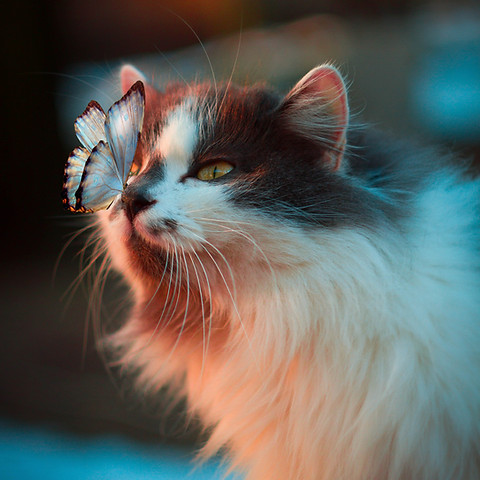 Image by Karina Vorozheeva