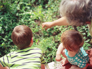 What are the benefits of the Parents and Grandparents Program (PGP) ?