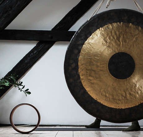 Image by Manja Vitolic