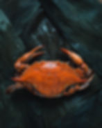 Alan's Annual Crab Crack